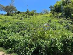 achat terrain à les abymes (97139)
