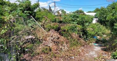 superbe terrain constructible viabilisé de 543 m2 au centre ville de saint louis