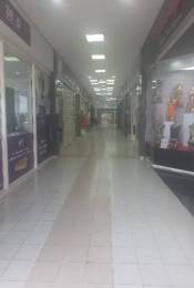 Achat  Local commercial Saint-Denis (97400) - REUNION