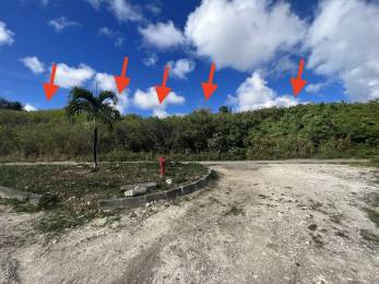 Achat Terrain à Batir Sainte-Anne (97180) - GUADELOUPE