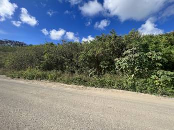 Achat Terrain à Batir Sainte-Anne (97180) - GUADELOUPE