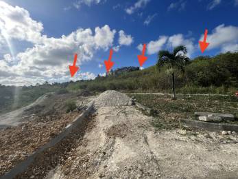 Achat Terrain à Batir Sainte-Anne (97180) - GUADELOUPE