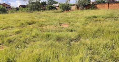 offre du mois a vendre beau terrain clôture de 4414m2 anosiala