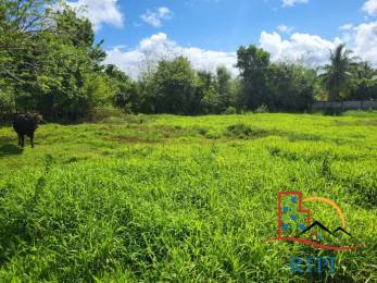 Achat terrain Les Abymes (97139) - GUADELOUPE