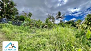 achat terrain à saint-joseph (97480)