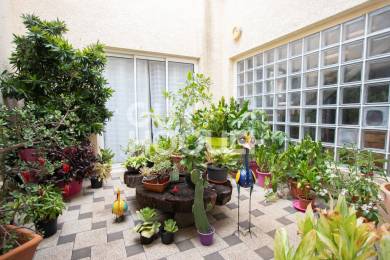 Achat Maison Saint-Gilles les Bains (97434) - REUNION