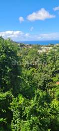 Achat terrain Gourbeyre (97113) - GUADELOUPE