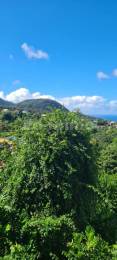 Achat terrain Gourbeyre (97113) - GUADELOUPE