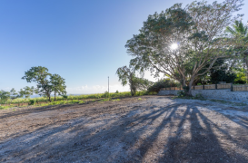 achat terrain à sainte-marie (97438)