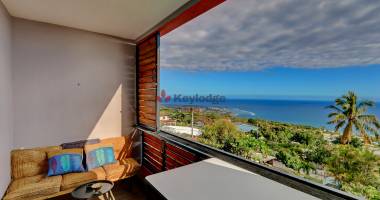 appartement t2 bis vue mer - 46 m2 - les avirons