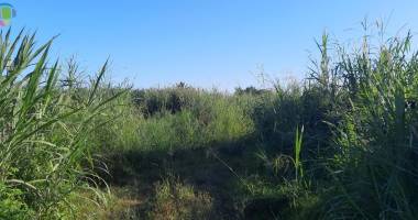 terrain 990 m²  de zone uc  sur saint-andré 