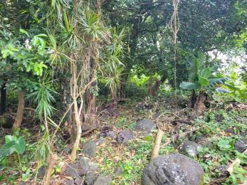 Achat Terrain Sainte-Anne (97437) - REUNION