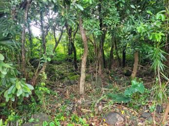 Achat Terrain Sainte-Anne (97437) - REUNION