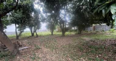 a vendre terrain 300m² centre ville saint paul, ile de la reunion