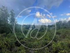 achat terrain à le gosier (97190)