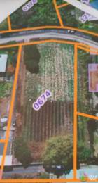 Achat Terrain Tampon (97430) - REUNION