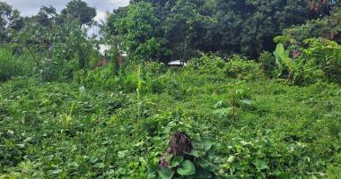 terrain 311m2 proche du centre ville de st andré