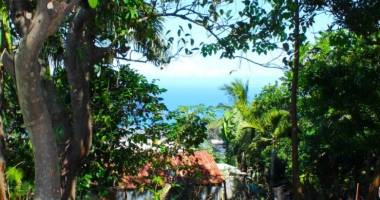 terrain plat arboré proche lycée saint exupéry