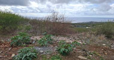 a vendre terrain avec vue sur mer à l’hermitage-les-hauts