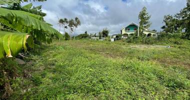 teka immo vous propose a vendre des parcelles de 300m²  sur st benoit, a moins de 5 minutes du gher, ile de la reunion 