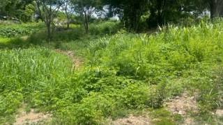 achat terrain à petit canal (97131)