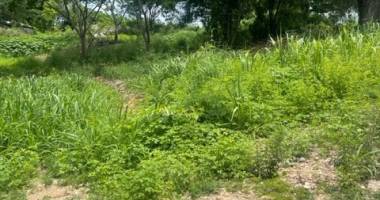 a petit canal - beau terrain de 5950 m2 acces direct a la voie publique  - ideal investisseur