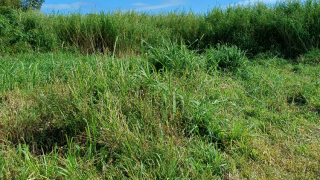 achat terrain à batir à saint-andré (97440)