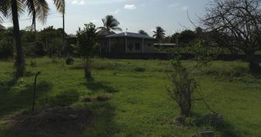 beau terrain a batir  plat dans quartier calme de petit canal