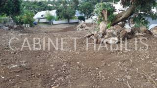 achat terrain à sainte-clotilde (97490)