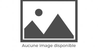 a louer local 300m² st suzanne 
