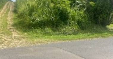 terrain a batir de 850 m2 situe a bazin les abymes - vue degagee