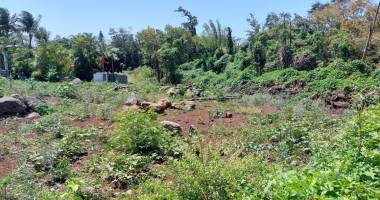 terrain de 1740m2 - zone artisanale - la mare - ste marie