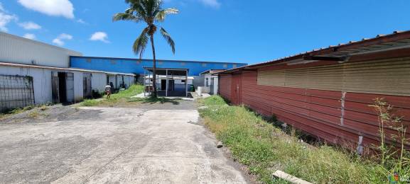 Achat Entrepôt Saint-Louis (97450) - REUNION
