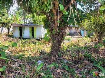 Location Terrain Saint-Benoît (97470) - REUNION