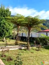 Location Maison Plaine des Palmistes (97431) - REUNION