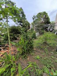 Location Terrain Saint-André (97440) - REUNION