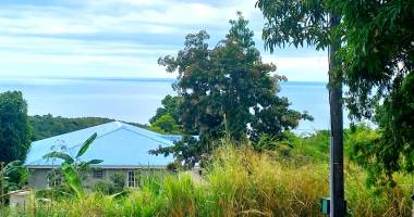 ne passez pas à côté de ce beau terrain de 1000 m2 avec vue sur la mer à vendre à vieux habitants
