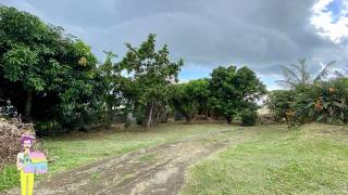achat terrain à saint-paul (97460)