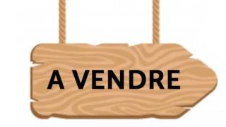 achat local commercial à saint-pierre (97410)