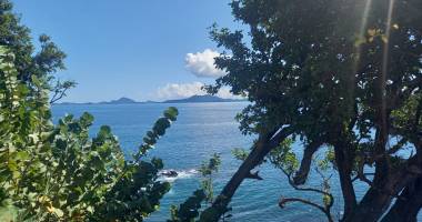 vieux fort : résidence la rose des vents, t2 rez de jardin