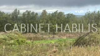 achat terrain à plaine des cafres (97418)