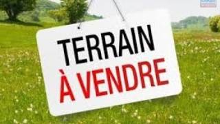 achat terrain à plaine des palmistes (97431)