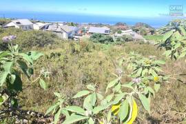 achat terrain à plaine des cafres (97418)