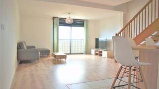 achat duplex à sainte-clotilde (97490)