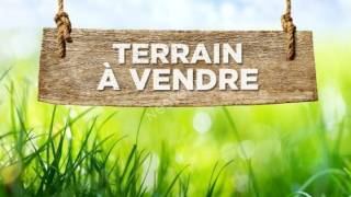 achat terrain à lamentin (97129)