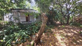 achat maison à sainte-marie (97438)