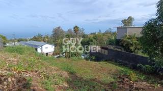achat terrain à saint-pierre (97410)