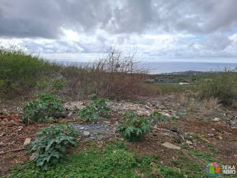 Location  Terrain Saint-Gilles les Bains (97434) - REUNION