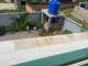 miniature