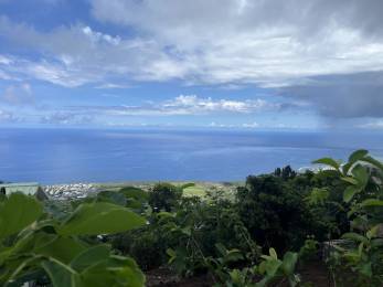 Achat terrain Saint-Leu (97436) - REUNION